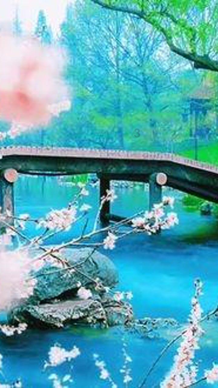 雷竞技比分